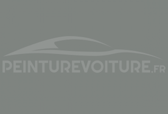Code peinture Innocenti NF 9 Grigio Alba S