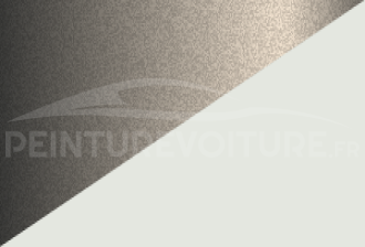 Code peinture Hyundai NH Nw + Sh