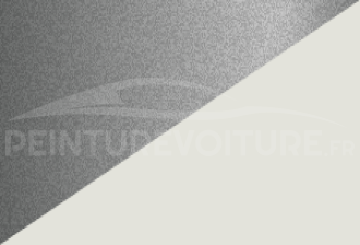 Code peinture Daihatsu NJ0 S07 + W19
