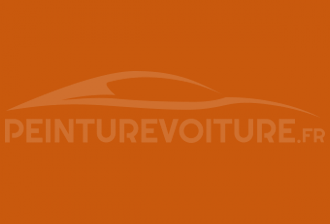 Code peinture Opel NS Signalorange