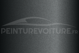 Code peinture Hyundai NT Neutral Grey