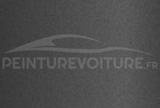 Code peinture Hyundai NT2 Hampton Grey