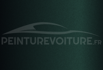 Code peinture Hyundai NV8 Vibrant Green