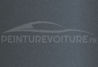 Code peinture Hyundai NY9 Transmission Gray