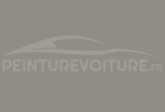 Code peinture Suzuki OFY Brown (int.)