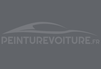 Code peinture Hyundai OI Montana Grey (interieur)