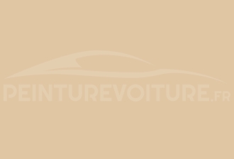 Code peinture Hyundai OT Ivory Light