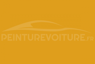 Code peinture Peugeot P0AS Jaune Adac / Jaune Solar