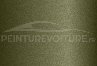 Code peinture Ford (Usa) P1 Lime Gold