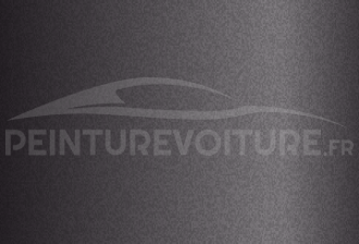 Code peinture Toyota P12 Greyish Purple