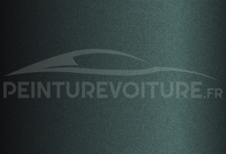 Code peinture Tvr P156 Ash Green