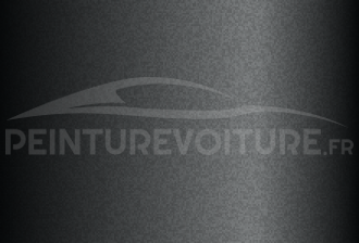 Code peinture Hyundai P3G Mira Mirror