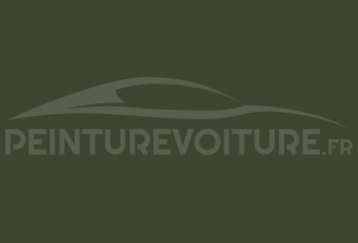 Code peinture Peugeot P3QR Vert