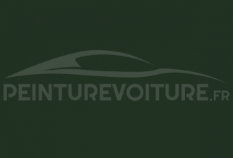 Code peinture Peugeot P3SL Vert Sapin