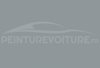 Code peinture Peugeot P3VY Gris