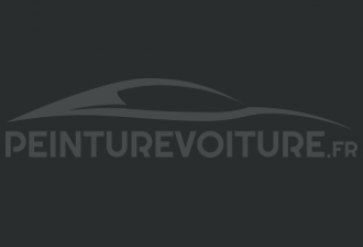 Code peinture Peugeot P3VZ Gris