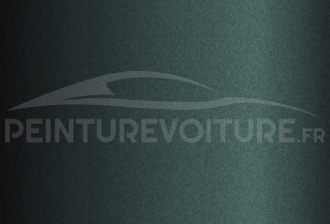 Code peinture Tvr P422-0823 Ash Green