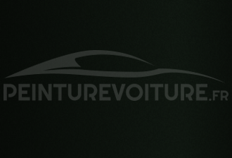 Code peinture Tvr P422/9SL8B Brooklands Green