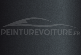 Code peinture Innocenti PD 1820 Grigio