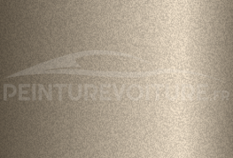 Code peinture Ford PDC Champagne Silver