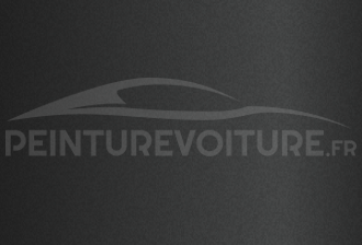 Code peinture Hyundai PG5  Grey Matt
