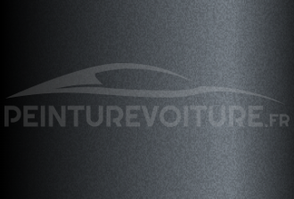 Code peinture Hyundai PG9 Pantera Grey