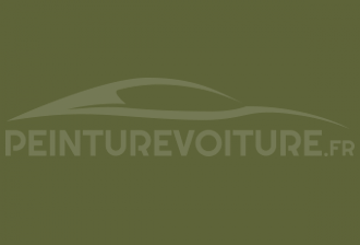 Code peinture Chrysler / Jeep PGU Jungle Green
