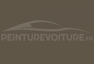 Code peinture Chrysler / Jeep PGV Gator