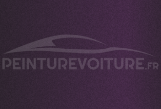 Code peinture Ford PLE Iris Purple