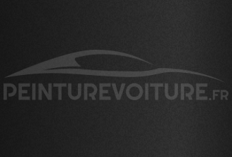 Code peinture Triumph Moto PO Carbon Black