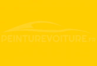 Code peinture Ford (Usa) PP Bright Yellow (probe)