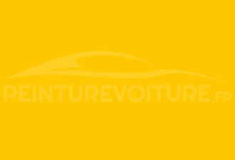 Code peinture Ford PP Vivid Canary