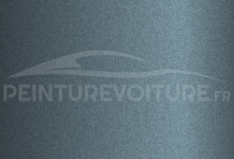 Code peinture Ford PPF1 Silverstone Met