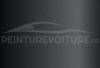 Code peinture Land Rover PPM Ligurian Black Matt