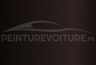 Code peinture Fiat PTW Luxury Brown