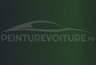 Code peinture Ford (Usa) PY - M6921 Dark Highland Green