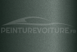 Code peinture Hyundai QQ Tender Green