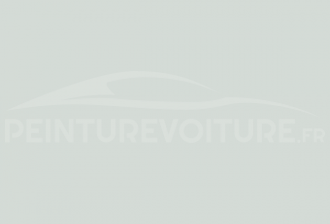 Code peinture Nissan QV1 White