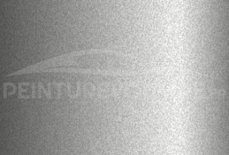 Code peinture Renault R060 Gris