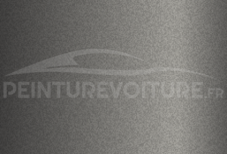 Code peinture Hyundai R3W Brass