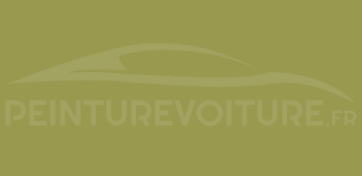 Code peinture Ral 1020 Jaune Olive