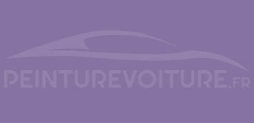 Code peinture Ral 4011 Violet NacrÉ