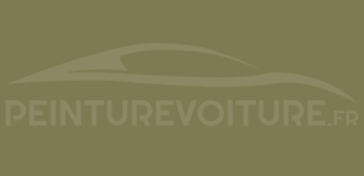 Code peinture Ral 7002 Gris Olive