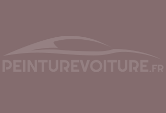Code peinture Ral Design System 010 50 10 Rouge