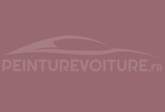 Code peinture Ral Design System 010 50 20 Rouge