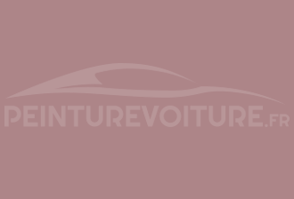 Code peinture Ral Design System 010 60 15 Rouge