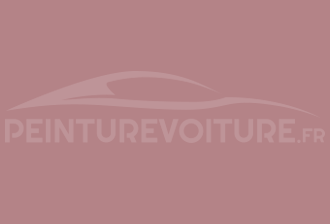 Code peinture Ral Design System 010 60 20 Rouge