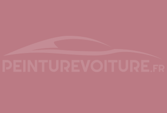 Code peinture Ral Design System 010 60 25 Rouge