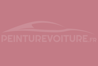 Code peinture Ral Design System 010 60 30 Rouge