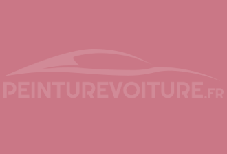 Code peinture Ral Design System 010 60 35 Rouge